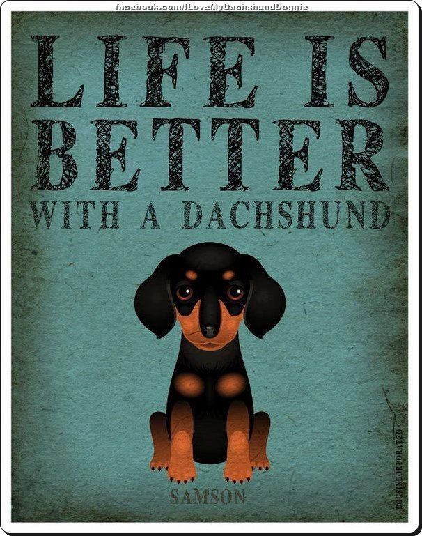Life is better with a dachshund